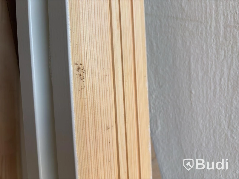 2 Door Frames