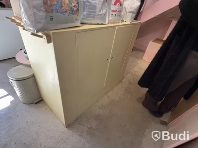 Storage cabinet with two doors and pedestal