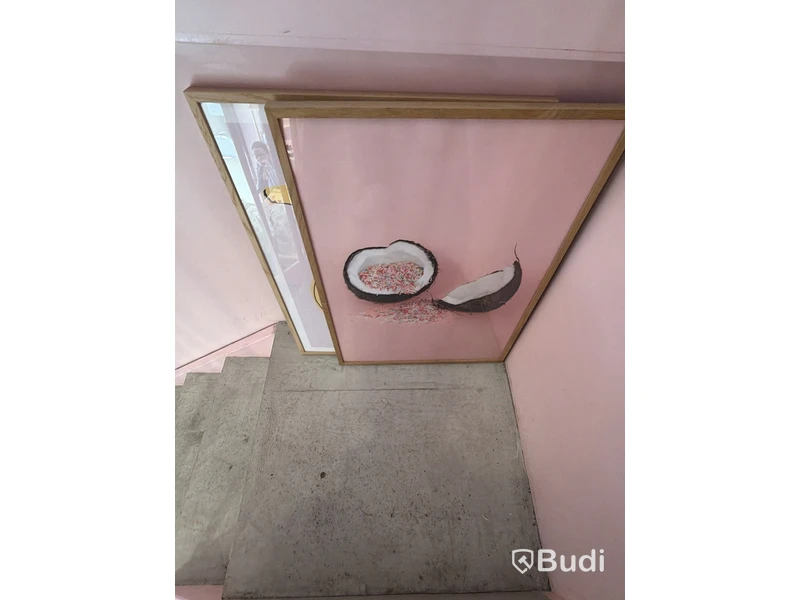 Framed artwork depicting a coconut