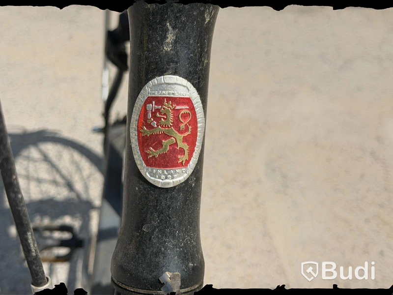 Men's bicycle with rear rack