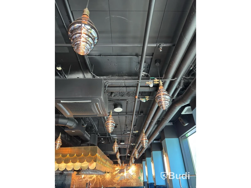 60 Ceiling Lamps
