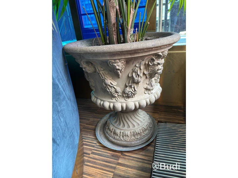 3 Plants incl. Pots