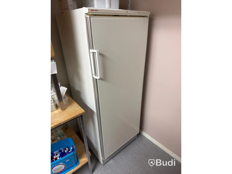 Fridge, Asea Skandia AKS 315