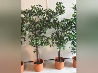 Artificial plants, 6 pcs., approx. 170 cm