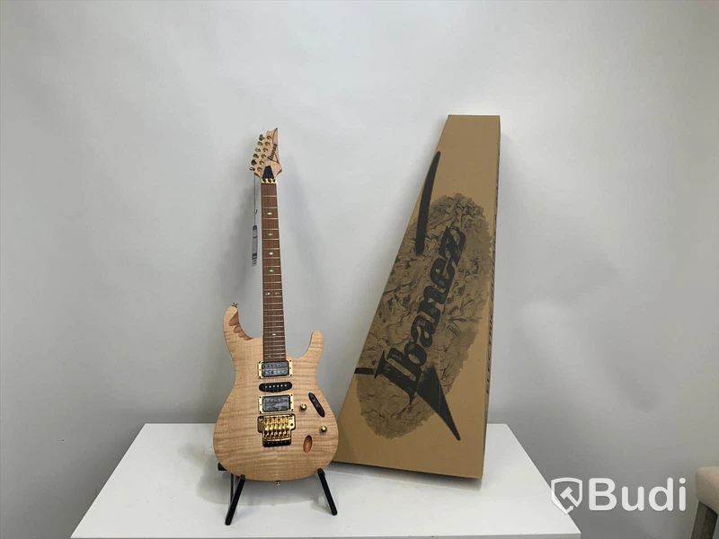 Ibanez elgitarr EGEN8-PLB