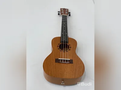 Kokio mahogany ukulele