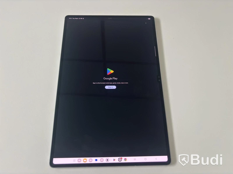 Surfplatta Samsung Galaxy Tab S10 Ultra, 256 GB