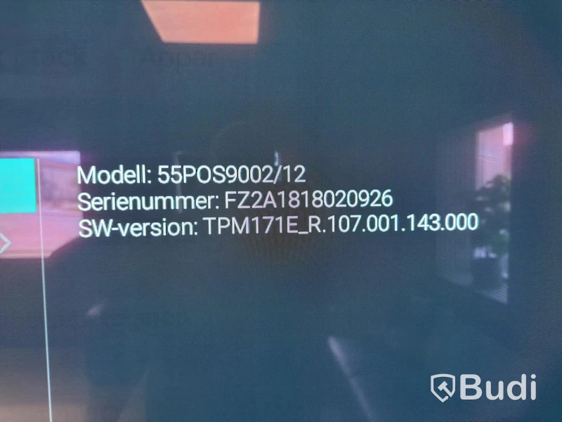 TV Philips 55POS9002/12, 55 tum