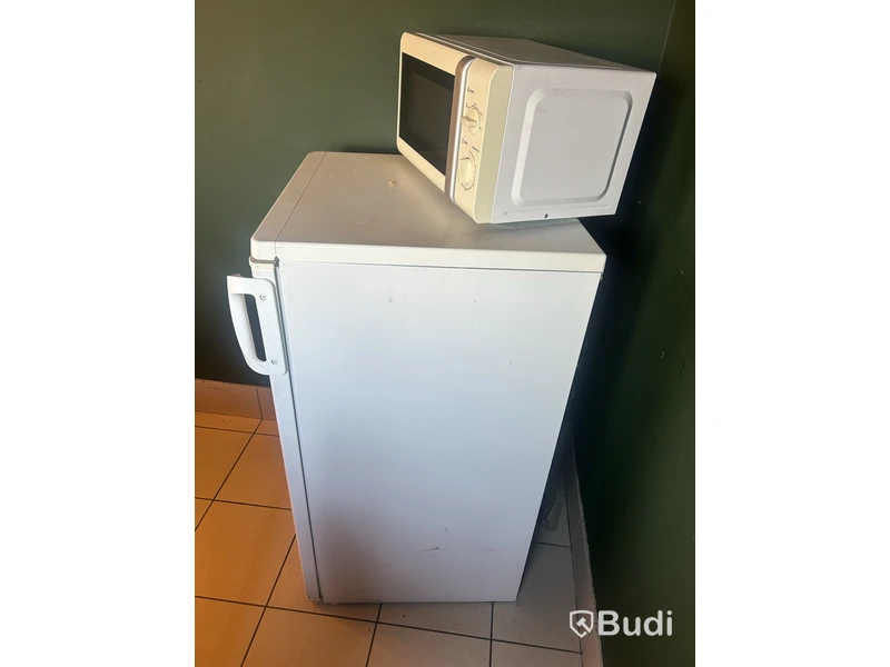 Electrolux ERC19002W8 Fridge, 190 L