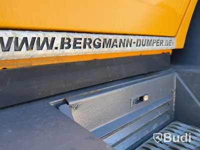 Dumper – BERGMANN 3012HK, 2015