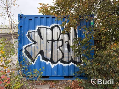 10 fots container