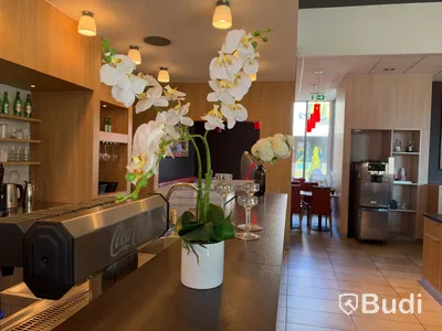 Växter & plastblommor
