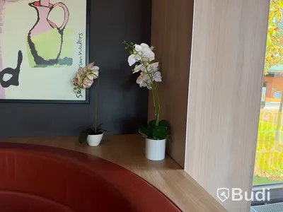 Växter & plastblommor