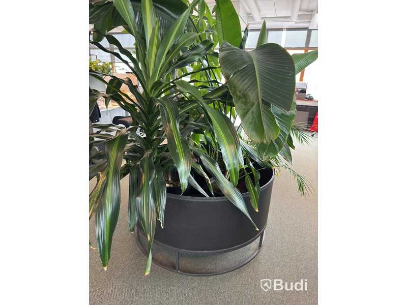 Large steel planter