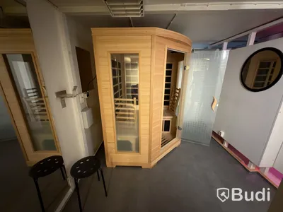 Infraröd Bastu, med glasdörr