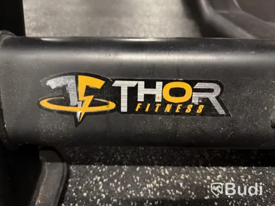 Bicepsbänk Thor Fitness