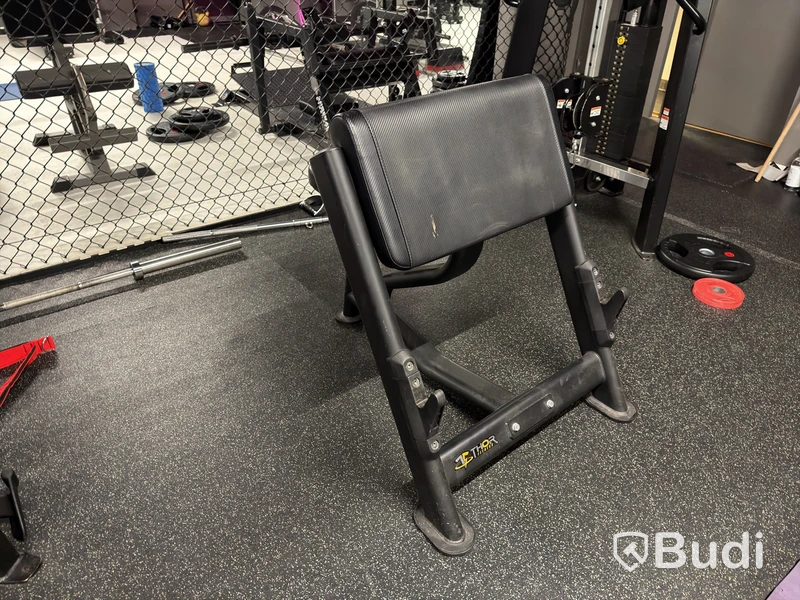 Bicepsbänk Thor Fitness