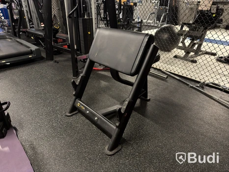 Bicepsbänk Thor Fitness