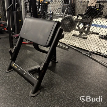 Bicepsbänk Thor Fitness
