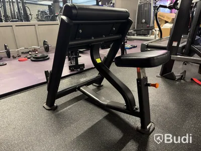 Bicepsbänk Thor Fitness