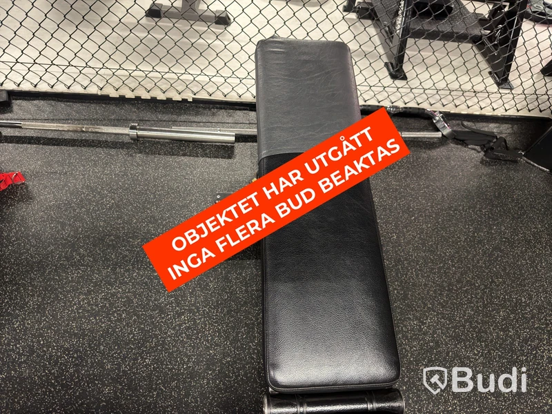 Technogym Adjustable Weight Bench