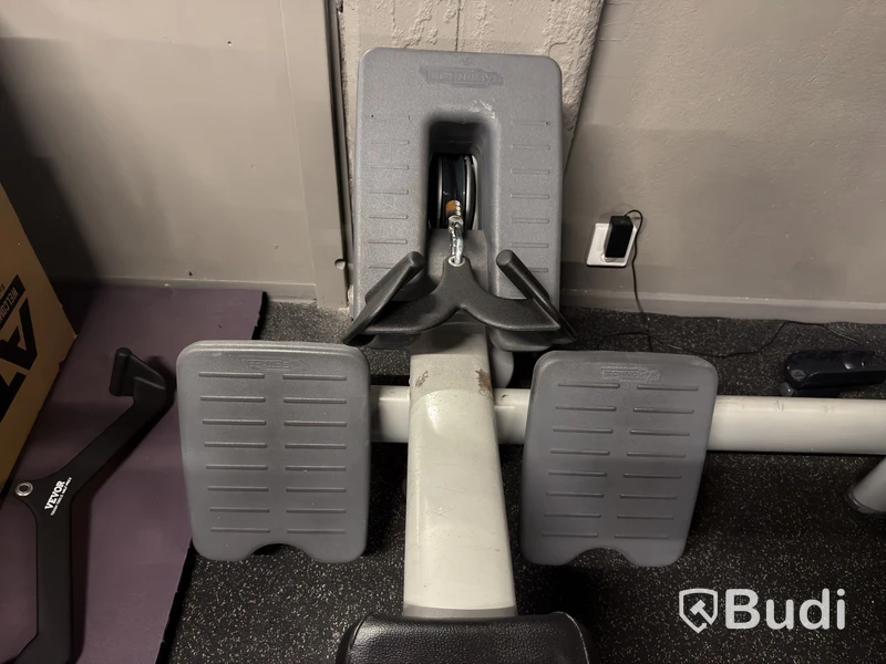 Sittande roddmaskin Technogym Pulley