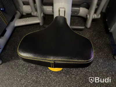 Roddmaskin Technogym Low Row