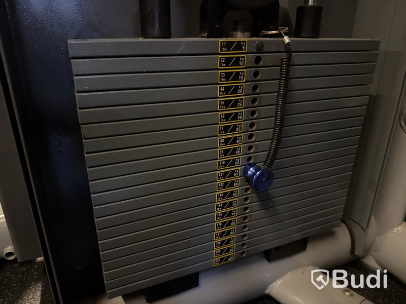 Roddmaskin Technogym Low Row