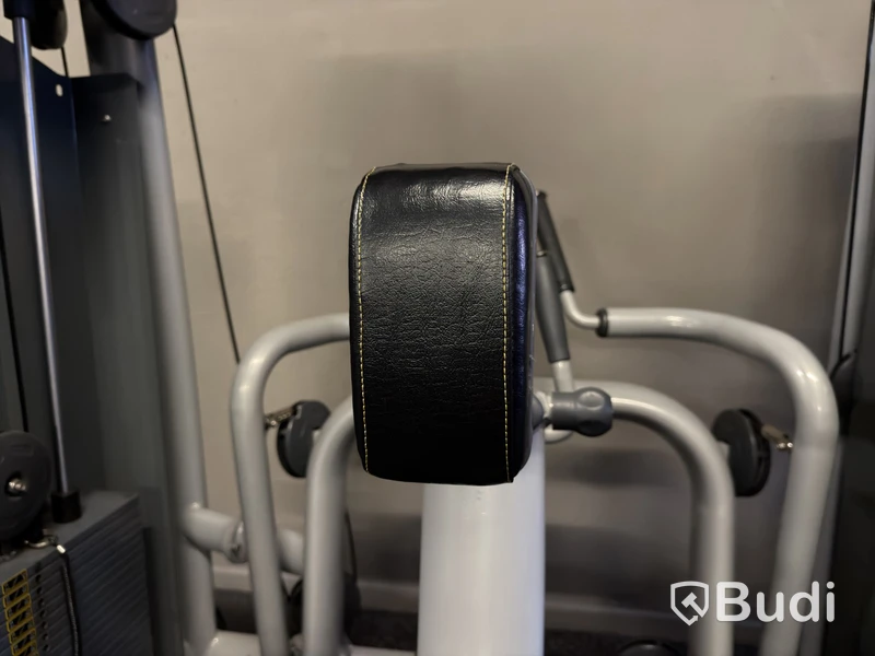 Roddmaskin Technogym Low Row
