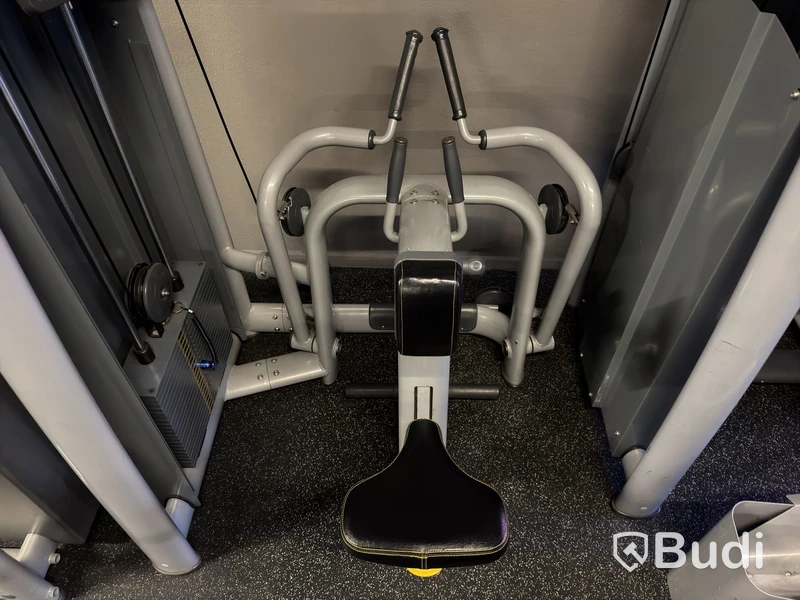 Roddmaskin Technogym Low Row
