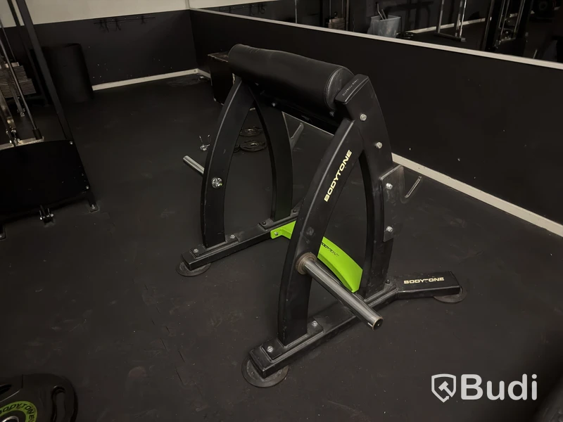Stående Scottbänk Bodytone SRB02E