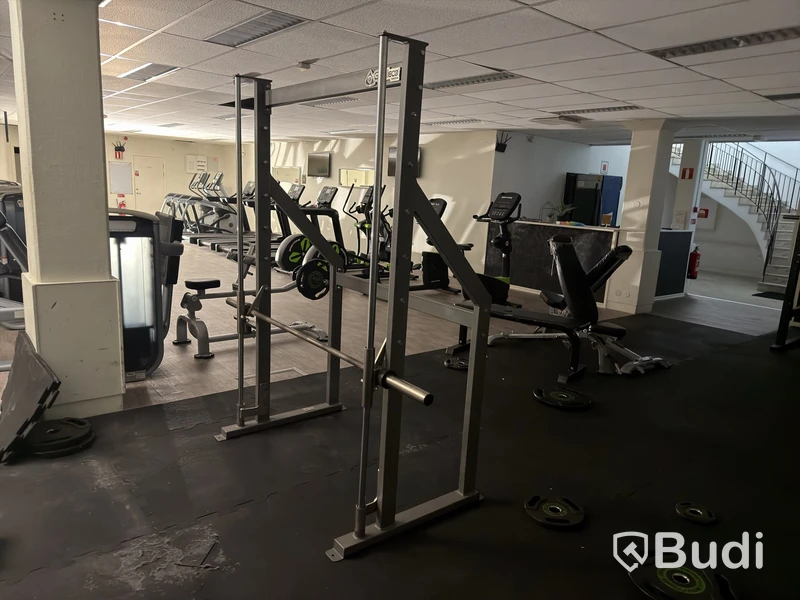 Smithmaskin Gymleco 280