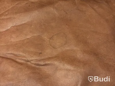 Sofa, BD Mobel