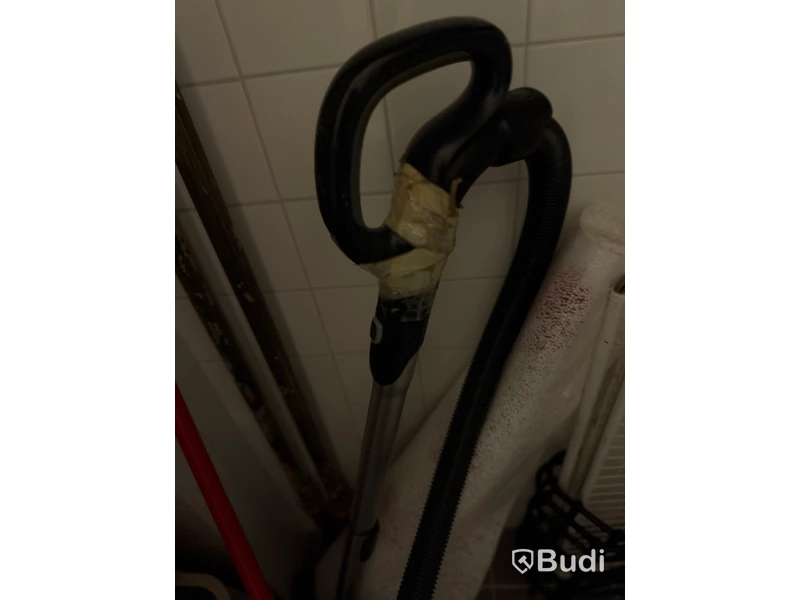 Dammsugare Electrolux UltraOne Green