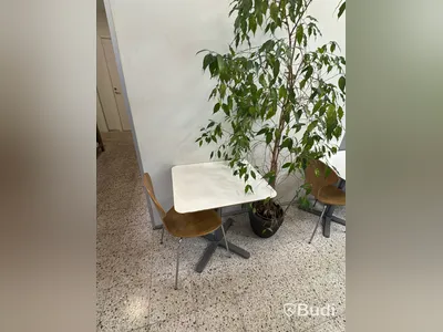 Cafémöbler, 28 bord och 49 stolar