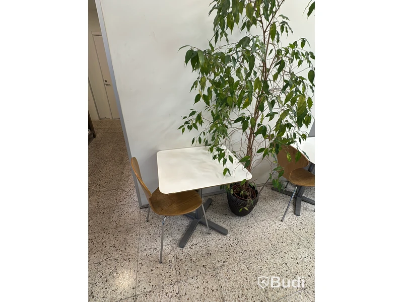 Cafémöbler, 28 bord och 49 stolar
