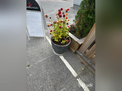 Växtlådor och krukor med växter, 2 delar