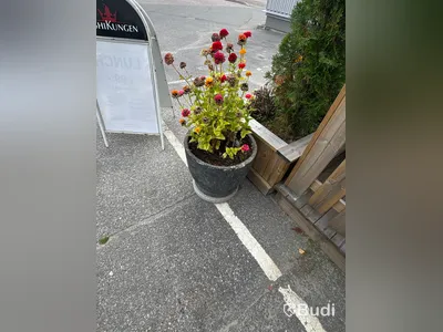 Växtlådor och krukor med växter, 2 delar