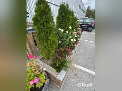Växtlådor och krukor med växter, 2 delar