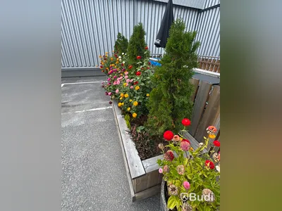 Växtlådor och krukor med växter, 2 delar