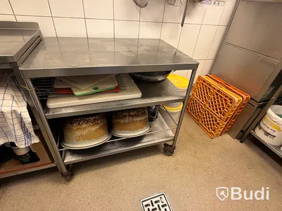 Stainless steel work table on casters