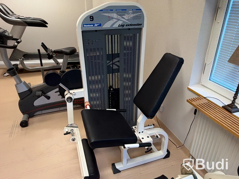 Reebok Strength Leg Extension, weight stack