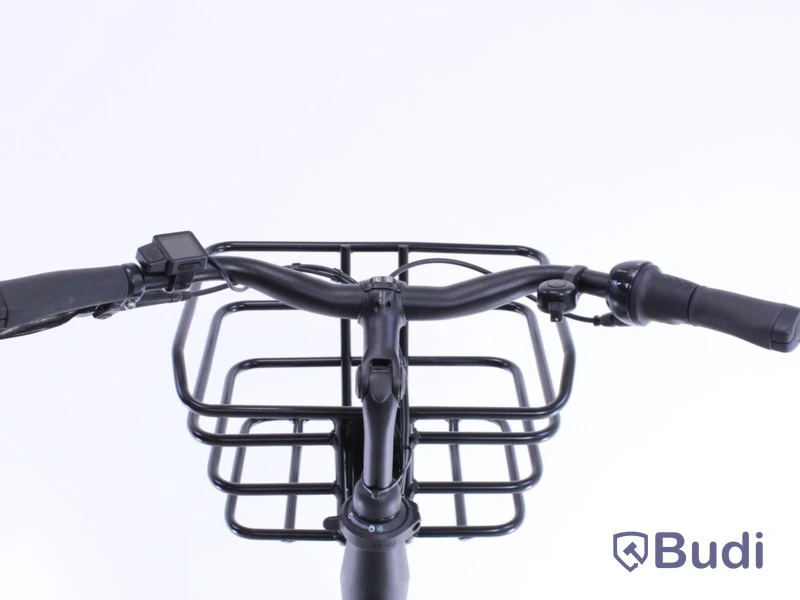 Batavus Torino E e-bike, women's model, 48 cm