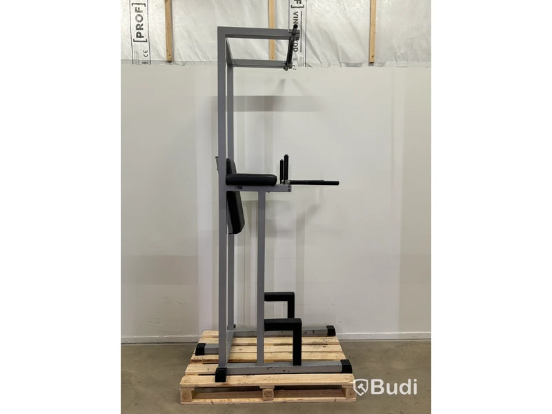 Chins- och dipsställning Technogym Combinata, med benlyftsstöd