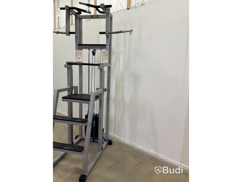 Chins- och dipsmaskin TechnoGym, med viktmagasin