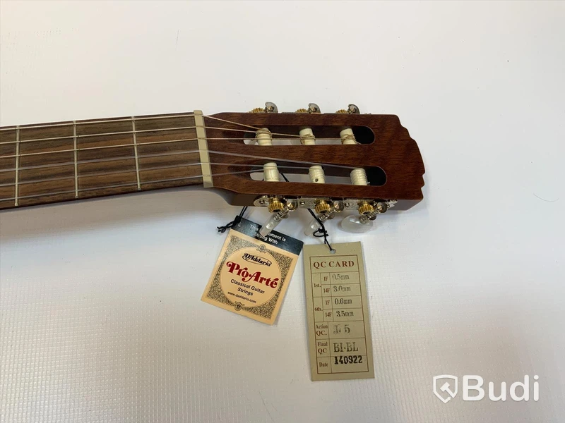 Levin nylon strängad gitarr inkl giggbag