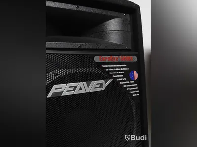 2 x Peavey EuroSys 500 RX