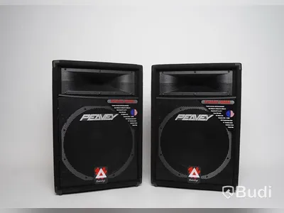 2 x Peavey EuroSys 500 RX