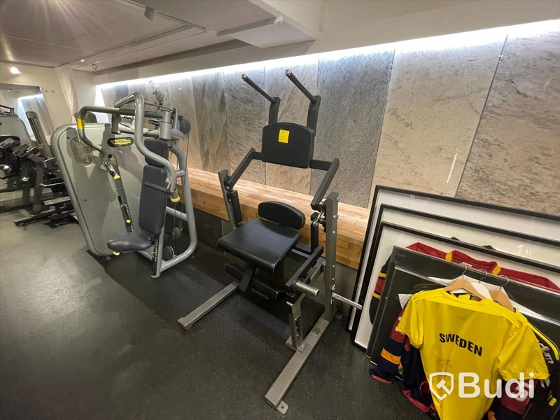 Magmaskin från Gymleco för fria vikter