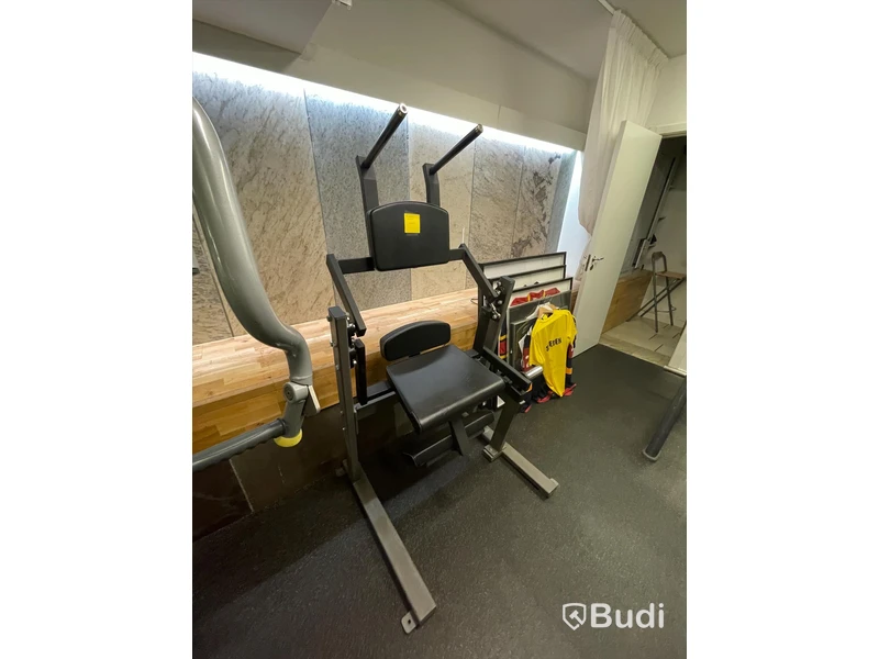Magmaskin från Gymleco för fria vikter